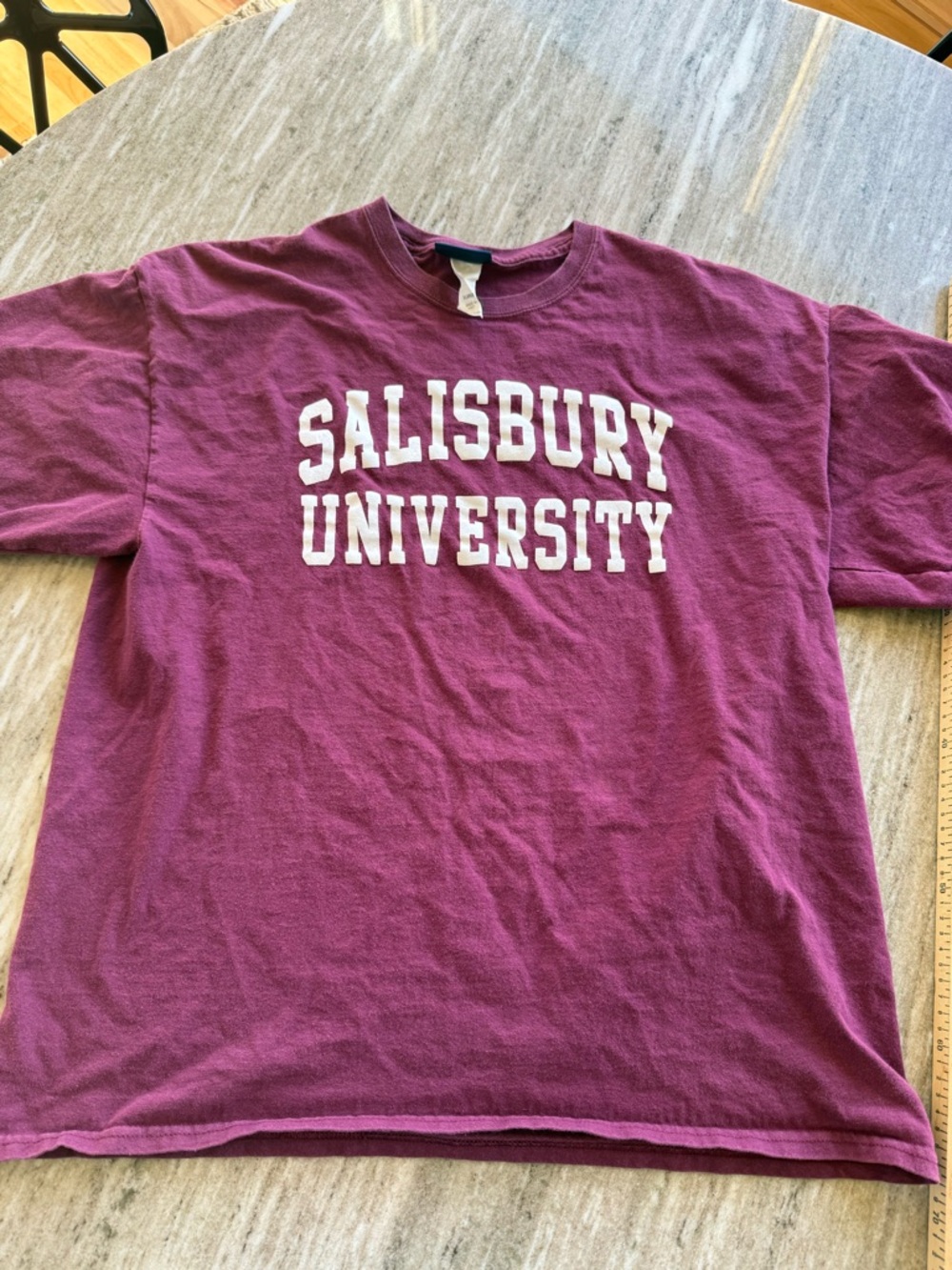 Salisbury University T-Shirt Mens XL Maroon Champion Style College Graphic Tee